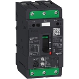 Schneider Electric Автоматический выключатель GV4PE с комбинированным расцепителем 50A 50kA зажим Everlink