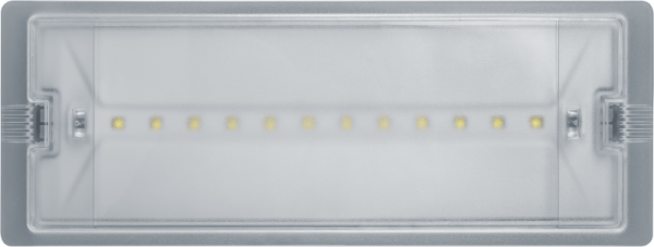Светильник светодиодный 95 290 NEF-19 6Вт IP65 100лм 220-240В аккум. LiFePO4 600mAh аварийно-эвакуационный Navigator 95290